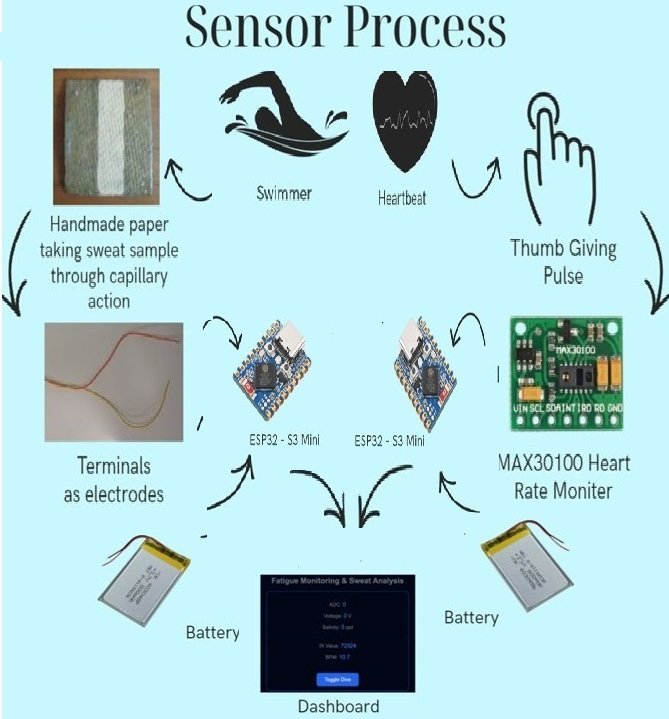 Diagram of the dual-sensing system: sweat electrode node and pulse sensor node both feeding into a shared ESP32-S3 web dashboard